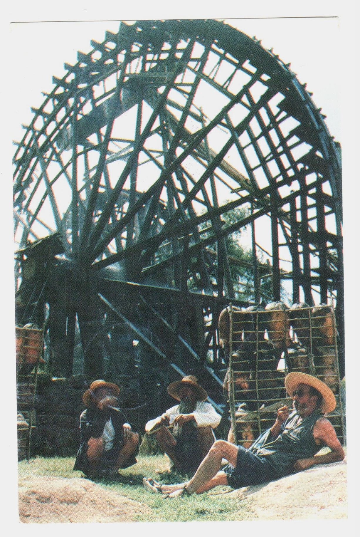 12 - 