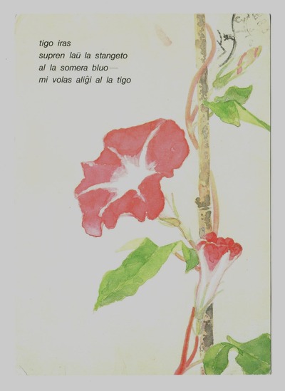 18-