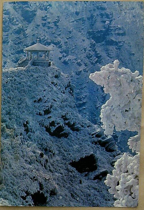 ����ڿ�20240115_114218 - ����(1)