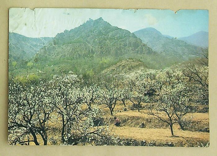 ����ڿ�20240115_113827(1)