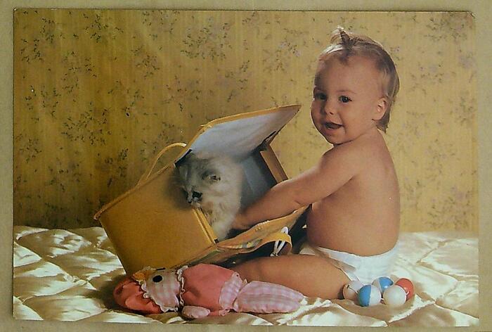 ����ڿ�20240115_114225 - ����(1)