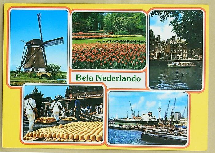 ����ڿ�20240115_114309(1)