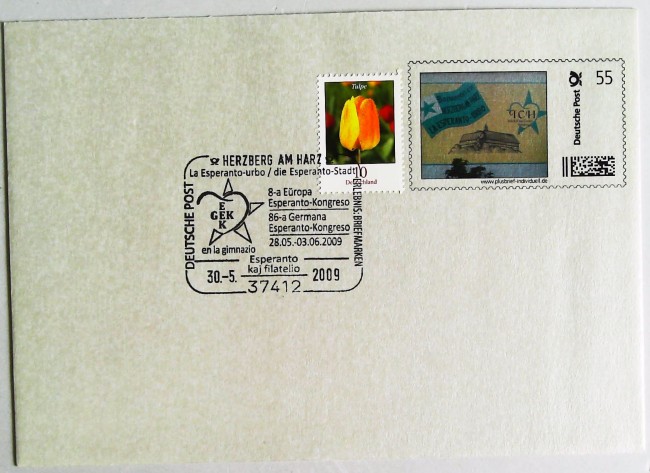 ���棨һ����Ʊ��